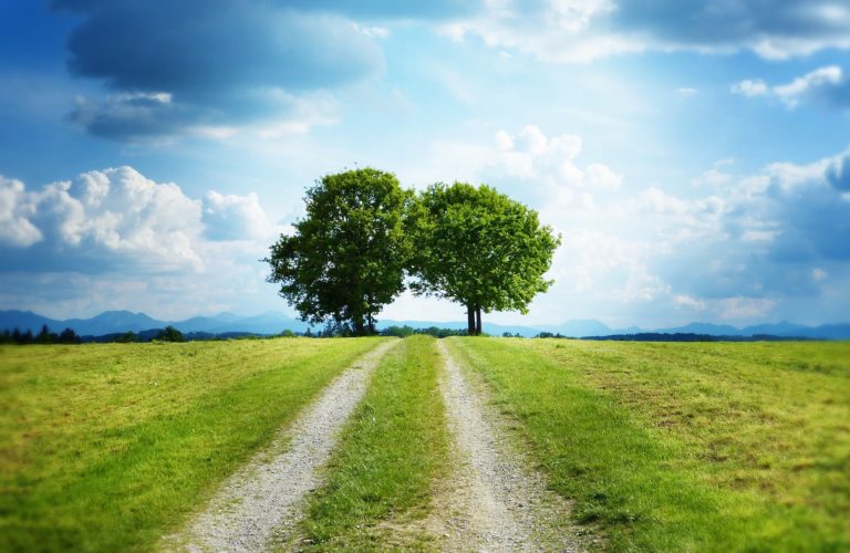 langjährige Schweizer Kompetenz für Ihren Erfolg